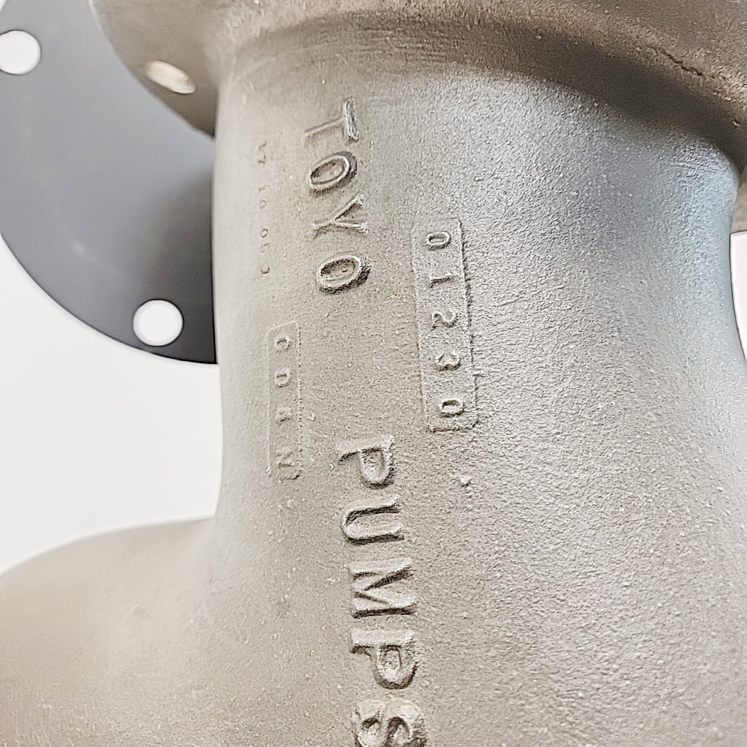 Toyo DEH Series Horizontal Recessed Impeller Pump