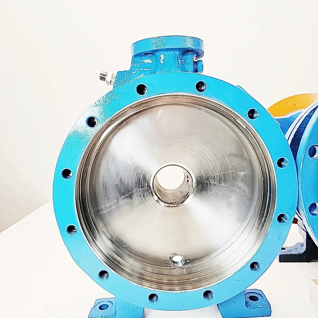 Goulds Pump LF3196 MTX 1x2-10 316SS, view 7