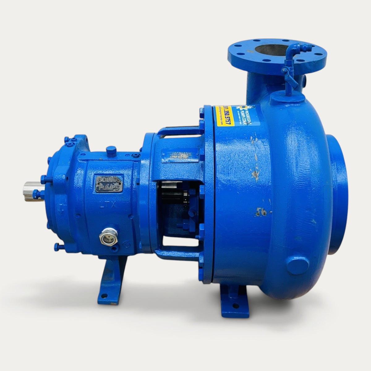 Goulds CV3196 LTX 4x6-13 Vortex Pump