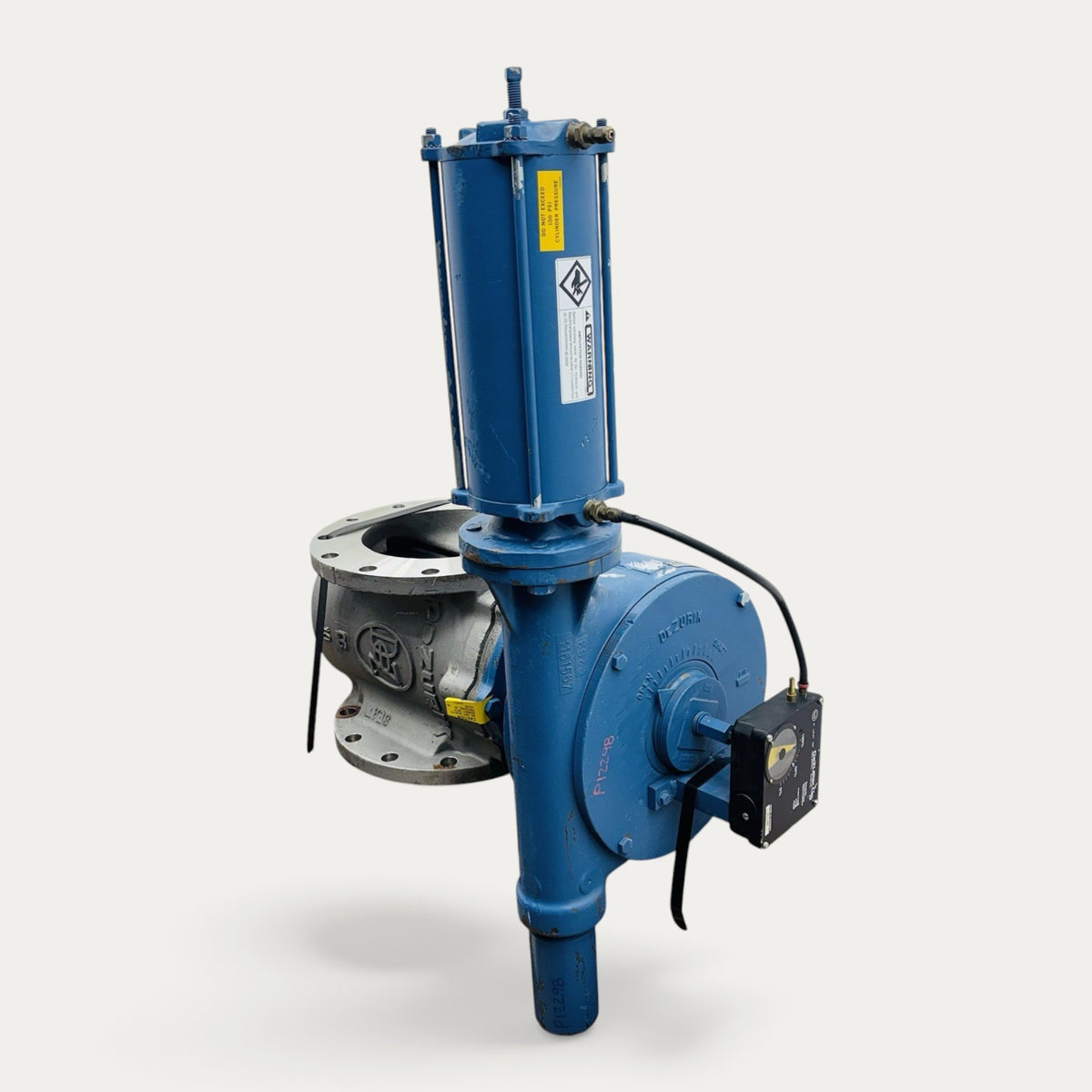 DeZURIK 9207567 10 in Plug Valve