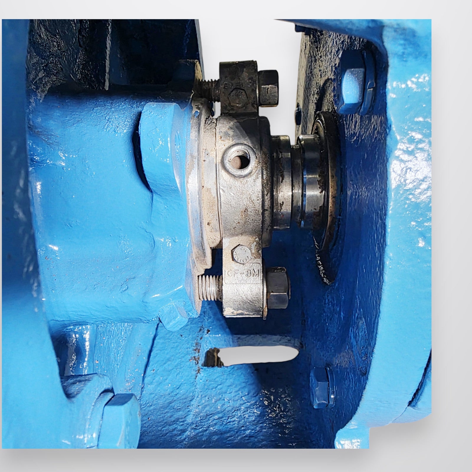 Goulds 3196 XLT-X 8x10-15G view 9