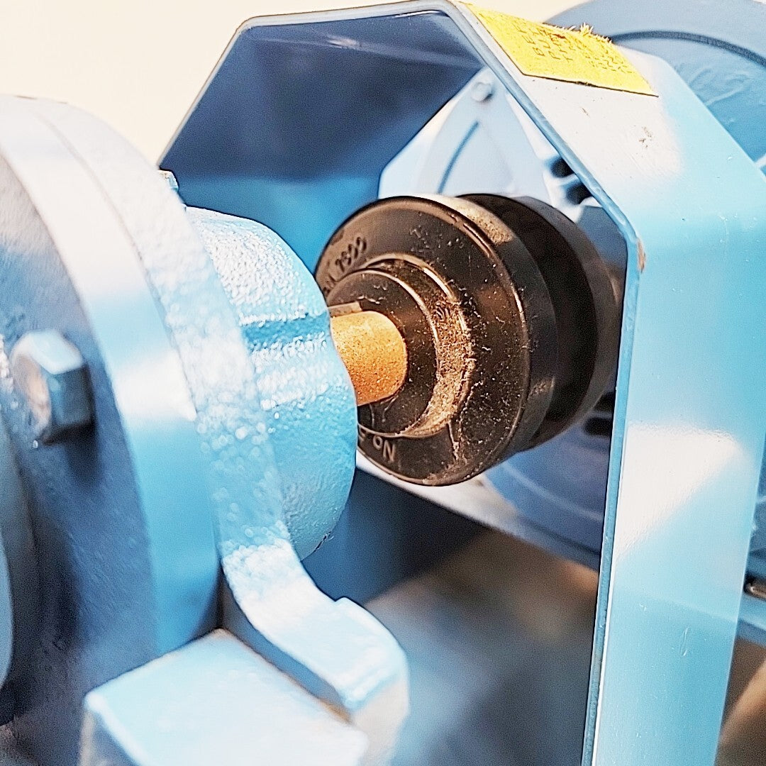 Pump and motor coupling detail