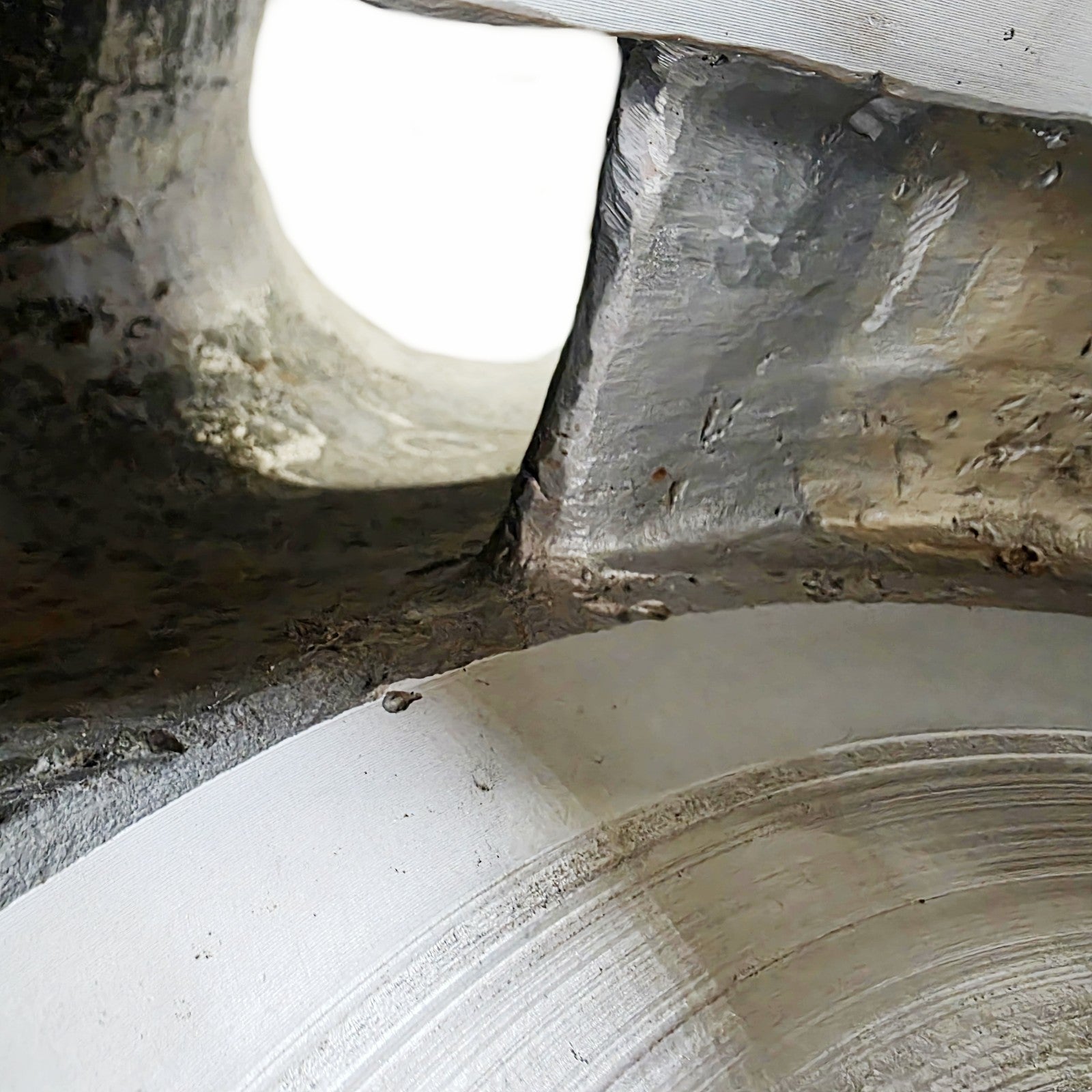 Goulds 3196XL casing interior view