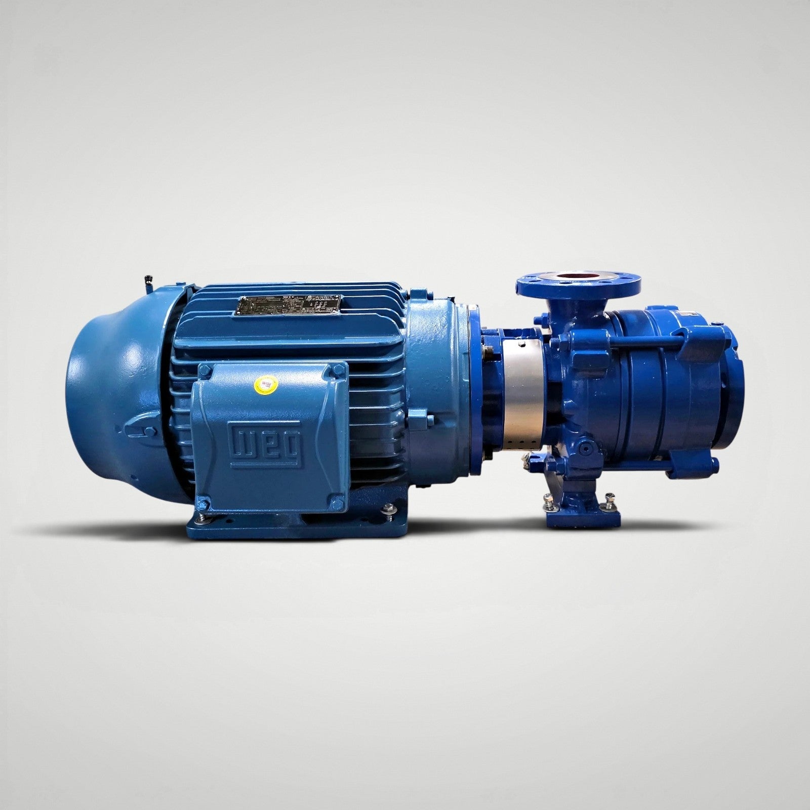 Shanley Pump LBUX 602 E162L multistage pump and motor assembly overall view