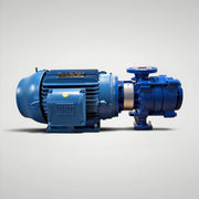 Shanley Pump LBUX 602 E162L multistage pump and motor assembly overall view