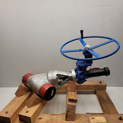 Flowserve V1-1S 4 inch valve overall view