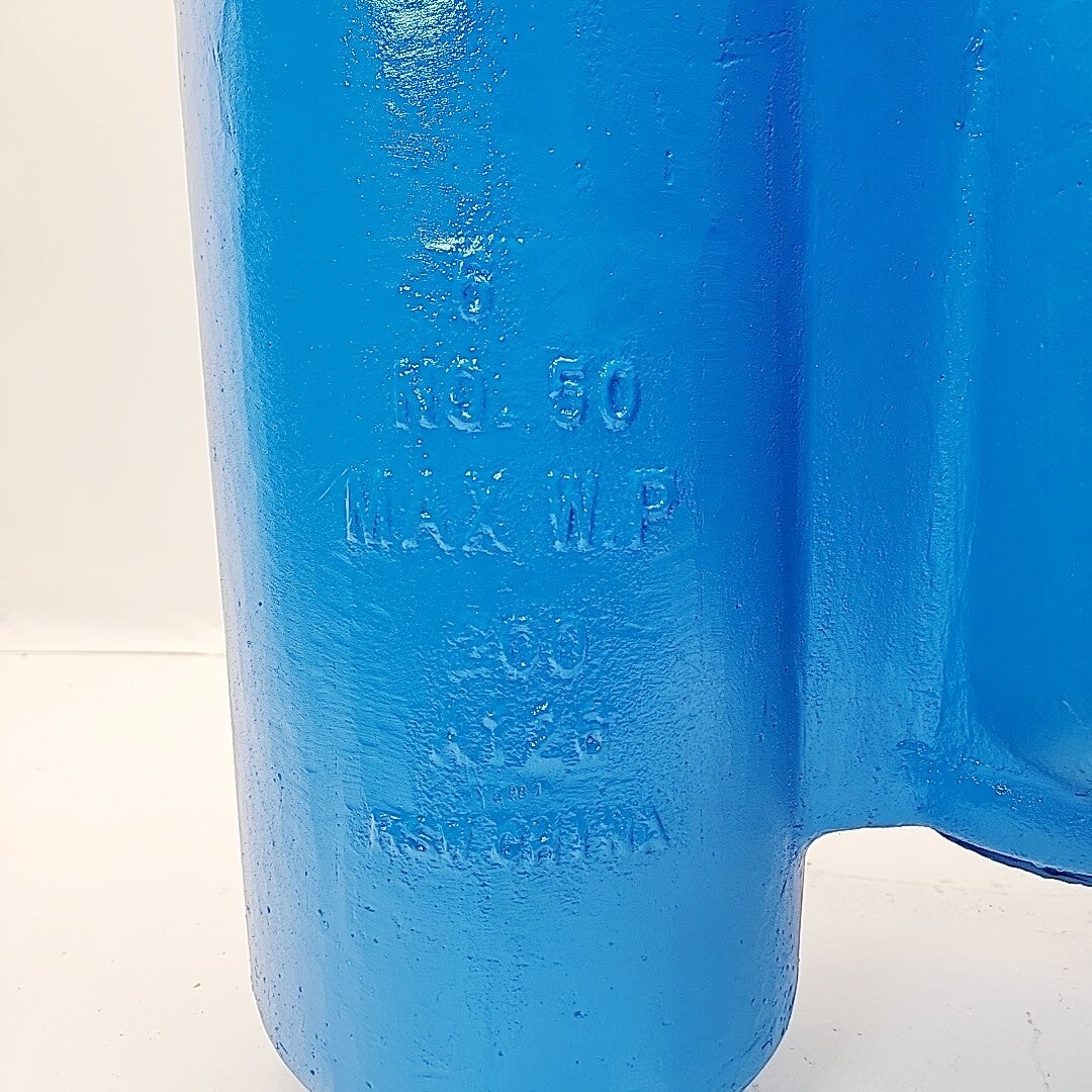 Eaton Model 50 basket strainer internal basket detail