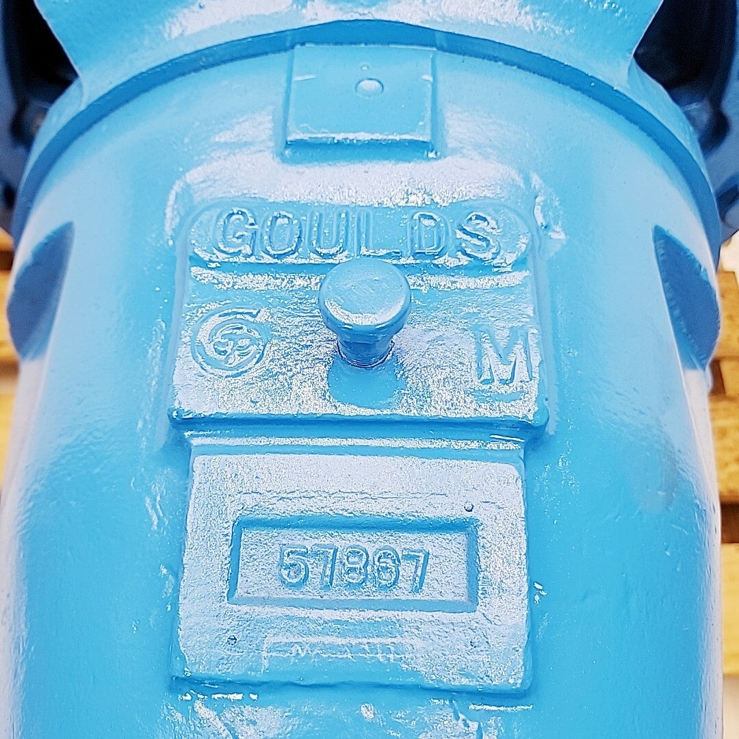 Goulds 3175 8x10-22 Centrifugal Process Pump 316SS