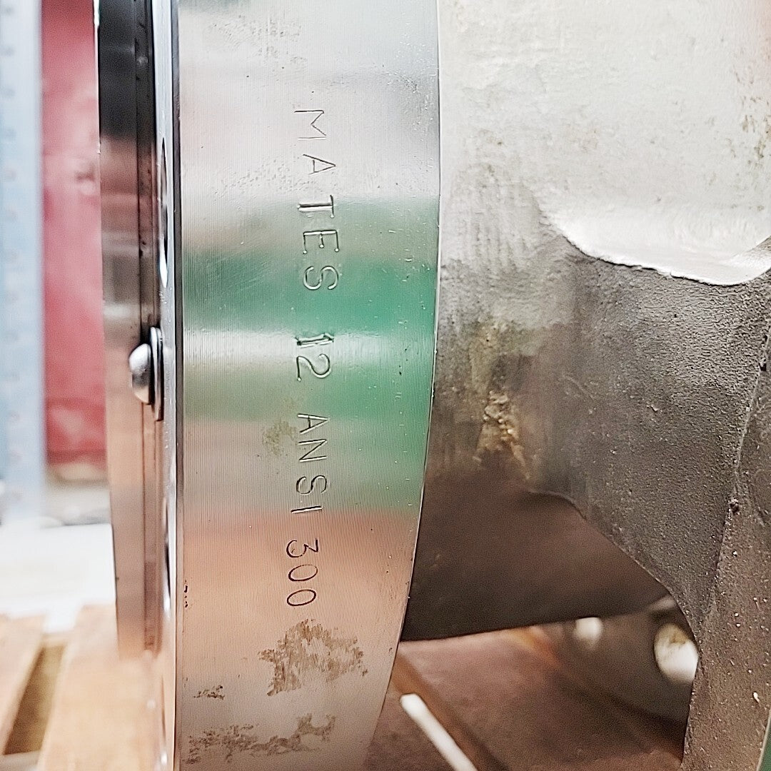 Fisher V300 SER-B 12" detail view