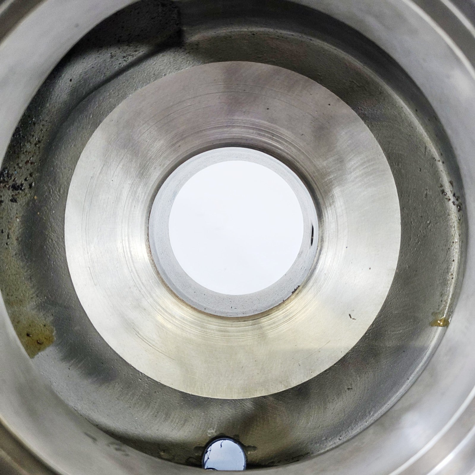 Goulds 3196 STi suction flange view