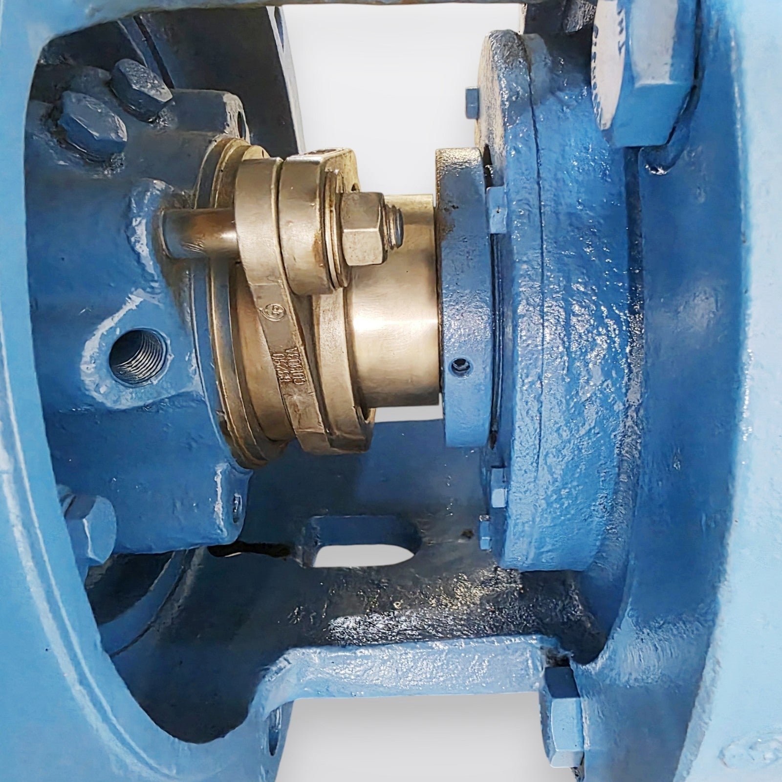 Goulds 3175 8x10-15 view 9