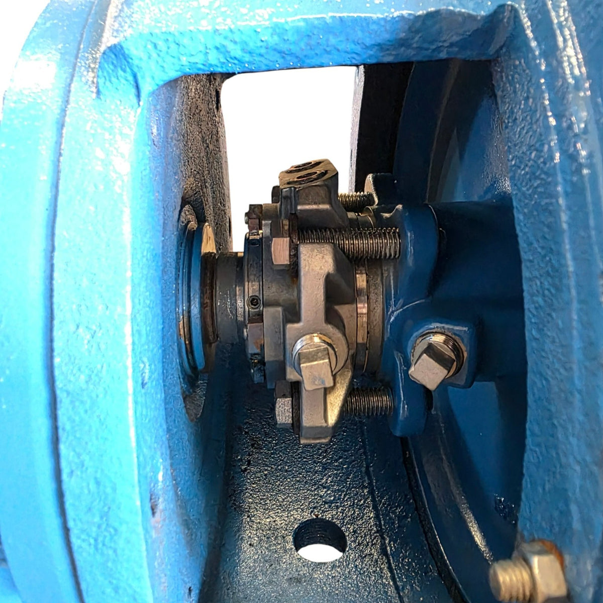 Goulds 3196 i-Frame 12 in impeller detail