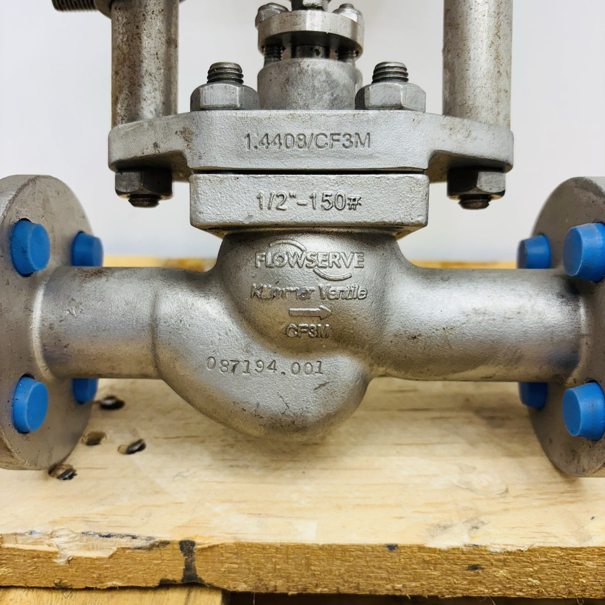 Flowserve 3850P1 1/2 in data tag